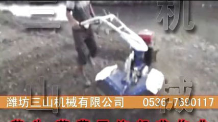 芋頭、草莓開溝起壟作業(yè) 